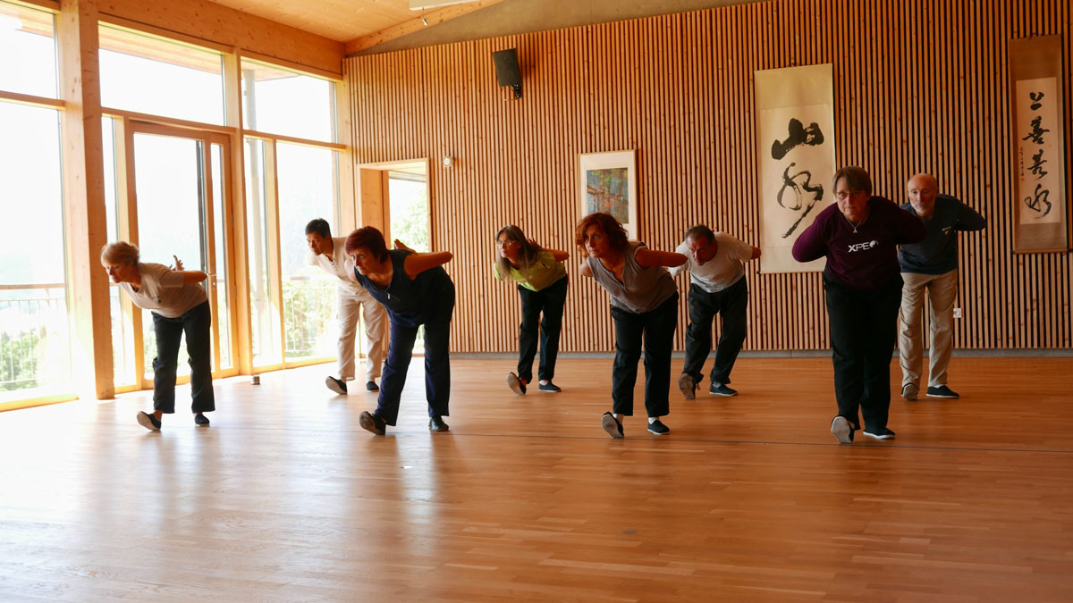 Formation-Tai-Chi-Qi-Gong-XPEO- Formation-Tai-Chi-Qi-Gong-XPEO-